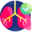 pulmones 