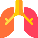 pulmones icon