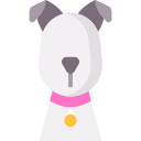 perro icon