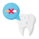 molar icon