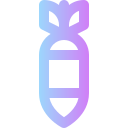 ddos icon