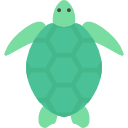 tortuga icon