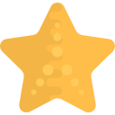 estrella de mar 