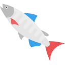 pescado icon