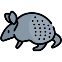 armadillo