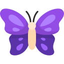 mariposa