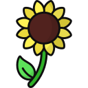 girasol icon