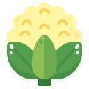 coliflor icon