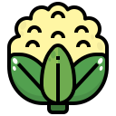 coliflor icon