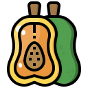 papaya icon