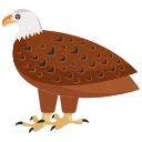 Águila 