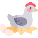 pollo icon