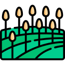 campo icon