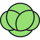 repollo icon