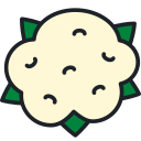 coliflor icon