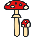 amanita icon