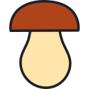 champiñón icon