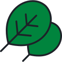 espinaca icon