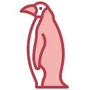 pingüino icon