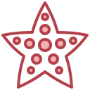 estrella de mar icon