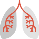 pulmones