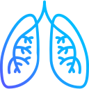 pulmones