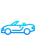 roadster icon