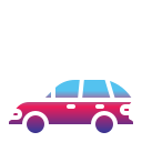 coche hatchback