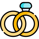 anillos icon