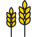 planta de trigo icon