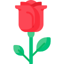 rosa icon