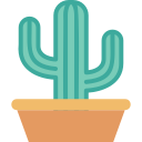 cactus icon