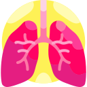 pulmones icon