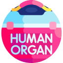 órgano humano icon