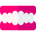 dentadura icon