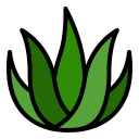 aloe vera icon