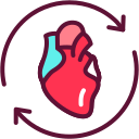 corazón icon