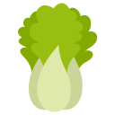 pak choi 