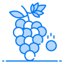 uvas icon