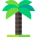 palmera