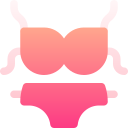 bikini icon