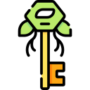 llave icon