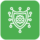 la seguridad cibernética icon