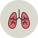 pulmones icon