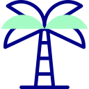 palmera icon