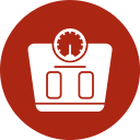 escala de peso icon