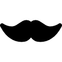 bigote icon