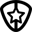 escudo de seguridad con estrella icon