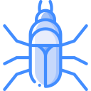 escarabajo icon