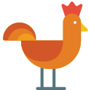 pollo icon